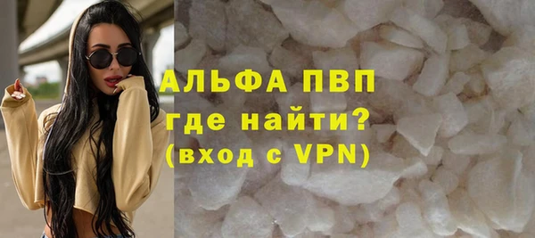 прущие грибы Абаза