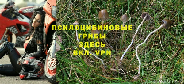 мескалин Алзамай