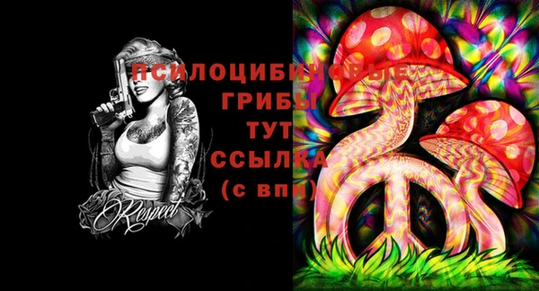 сатива Алексин